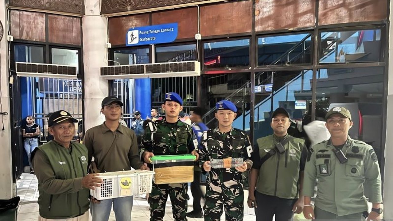 Sinergi antara TNI AL dan BBKSDA berhasil menggagalkan upaya penyelundupan delapan satwa dilindungi di Pelabuhan Umum Sorong, termasuk burung kasturi kepala hitam dan kakatua jambul kuning.
