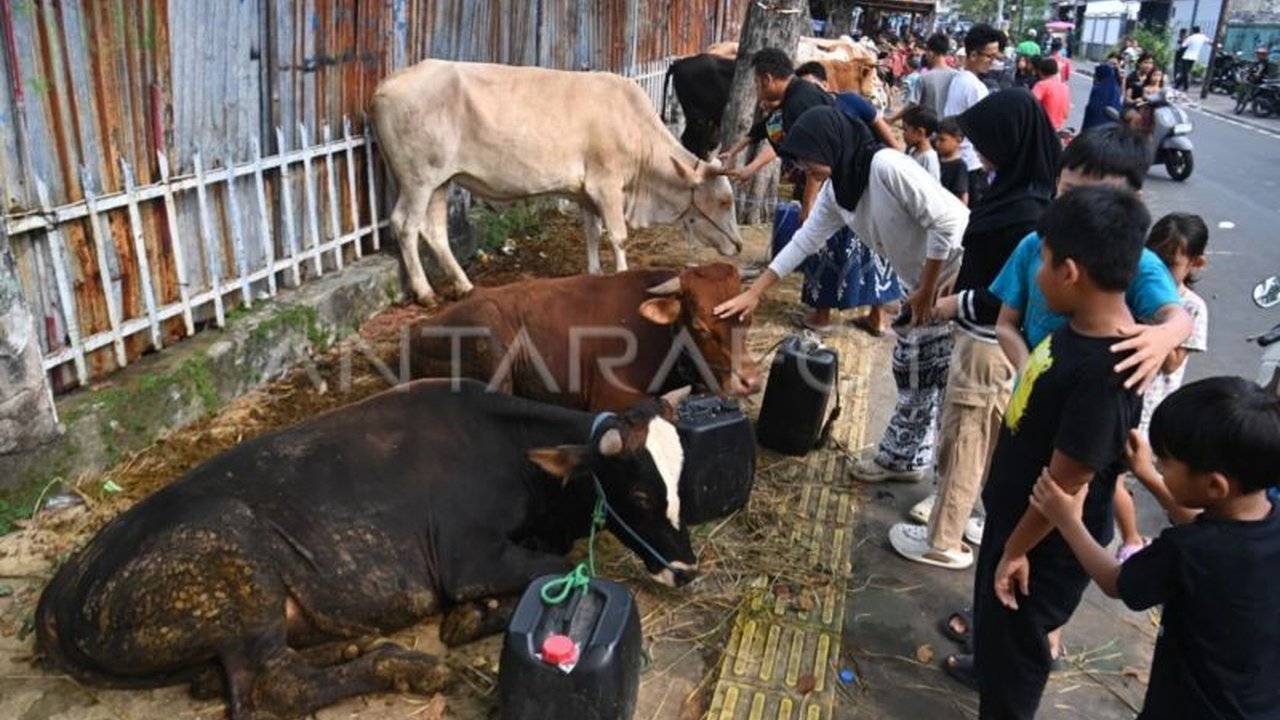 Dinas Ketahanan Pangan, Kelautan, dan Pertanian (KPKP) DKI Jakarta memperketat monitoring hewan kurban jelang Idul Adha 2026 untuk memastikan standar kesehatan dan ketertiban di seluruh wilayah Ibu Kota.