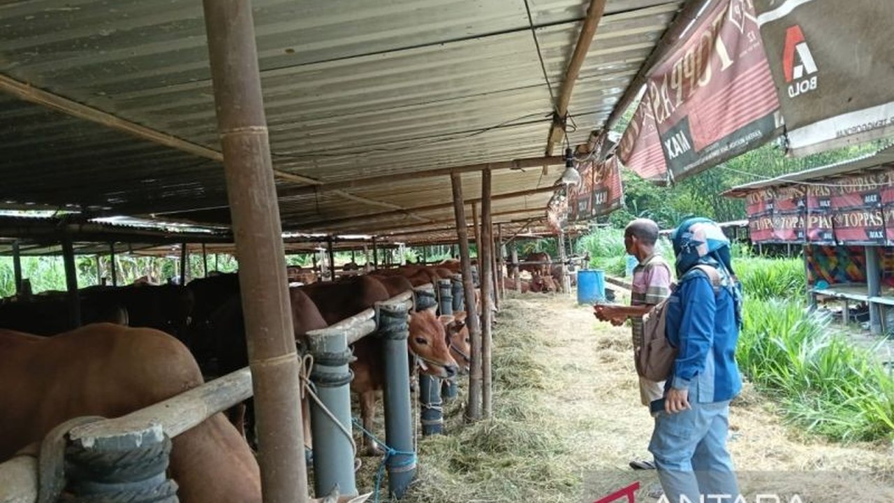Jelang Iduladha, Dinas Pertanian dan Pangan Kulon Progo memperketat pengawasan hewan kurban di puluhan titik penampungan guna menjamin kesehatan ternak dan mencegah penyebaran penyakit menular.