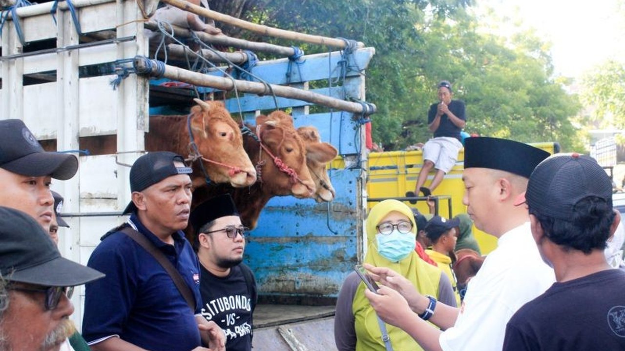 Pemerintah Kabupaten Situbondo segera lakukan Revitalisasi Pasar Hewan Sabtoan, pasar terbesar di Tapal Kuda, demi kenyamanan pedagang dan pembeli serta genjot perputaran ekonomi daerah.