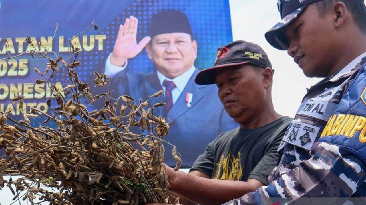Seluruh satuan TNI AL di daerah secara masif menjalankan program penanaman kedelai serentak, upaya strategis pemerintah dalam memperkuat ketahanan pangan nasional.