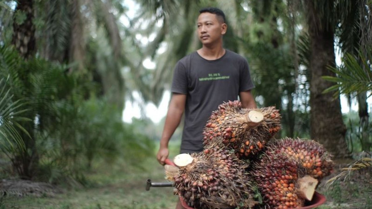 Kementerian Pertanian (Kementan) memperketat pengawasan perusahaan sawit untuk antisipasi dampak El Nino, memastikan kesiapan pengendalian karhutla demi menjaga produksi dan pasokan nasional.
