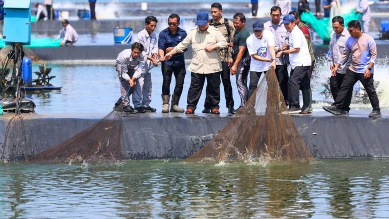 Gubernur Jawa Tengah menegaskan prospek budidaya udang di Kebumen sangat menjanjikan untuk ekonomi daerah dan nasional. Presiden Prabowo Subianto turut mengapresiasi produktivitasnya.