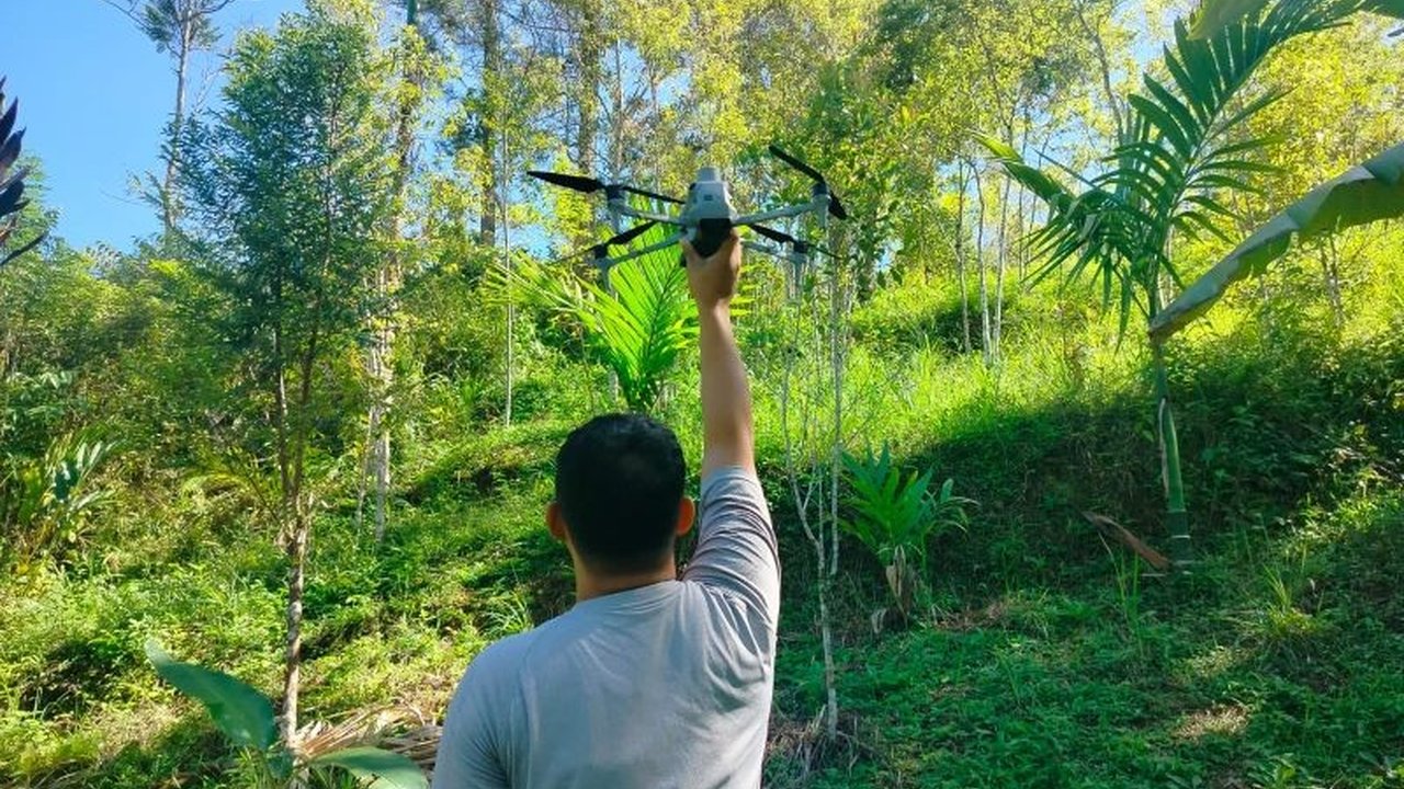 BKSDA Sumbar dan Sintas Indonesian intensif memantau Batang Palupuh Agam pakai drone thermal pasca-evakuasi Harimau Sumatera betina, memastikan tak ada individu lain dan merencanakan translokasi.