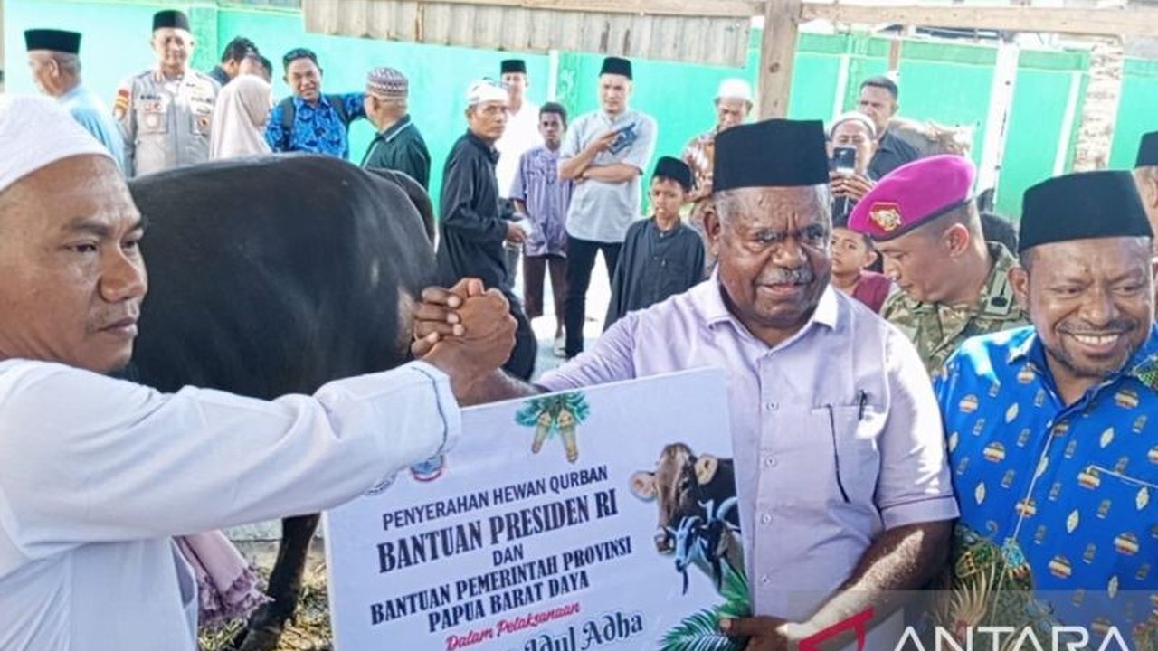 Pemerintah Provinsi Papua Barat Daya (PBD) menyalurkan 20 sapi kurban Idul Adha 1447 H kepada masyarakat di wilayahnya, meski jumlahnya menurun dari tahun sebelumnya. Aksi ini menjadi momentum penting untuk memperkuat kepedulian sosial dan semangat berbag