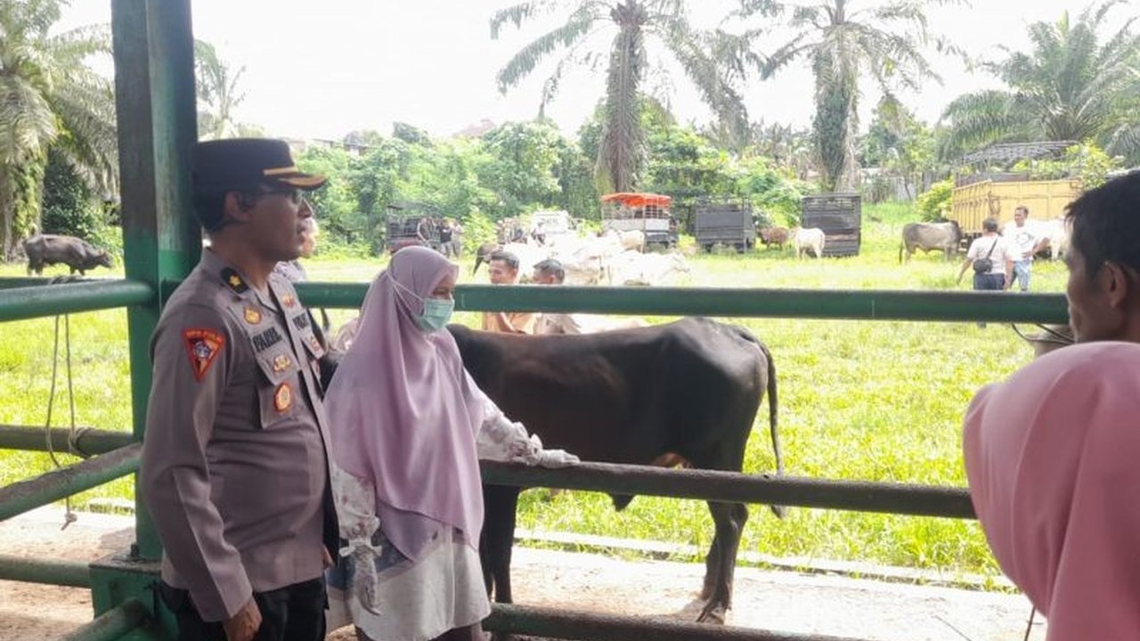 Polres Pasaman Barat mengimbau masyarakat untuk meningkatkan kewaspadaan terhadap potensi pencurian ternak menjelang Idul Adha 1447 H, mengingat peningkatan kebutuhan hewan kurban.