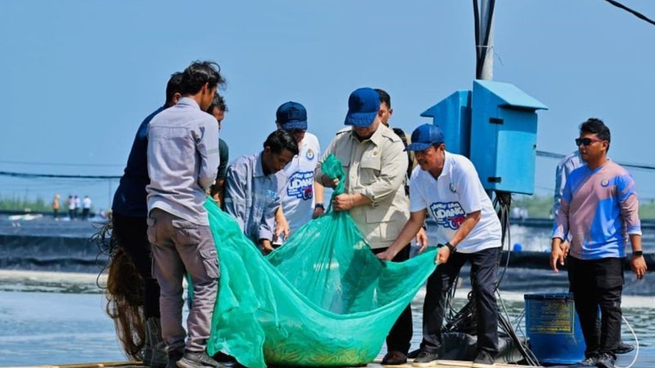 Presiden Prabowo Subianto meyakini potensi udang Indonesia sangat besar untuk menjadi produsen global terkemuka, didukung oleh budidaya modern di BUBK Kebumen dan proyek ekspansi KKP yang menciptakan lapangan kerja serta meningkatkan devisa negara.