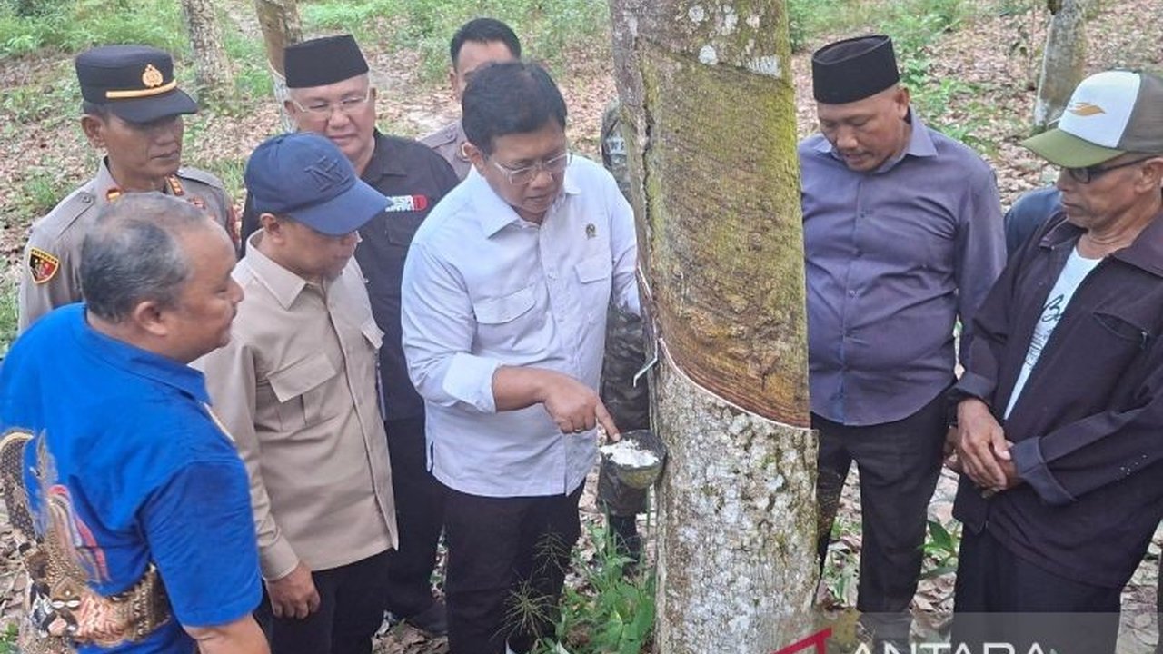 Wakil Menteri Transmigrasi Viva Yoga Mauladi menyatakan kesiapannya untuk memperjuangkan pupuk subsidi petani karet, mengingat mayoritas petani merupakan petani rakyat yang membutuhkan dukungan pemerintah untuk meningkatkan produktivitas.