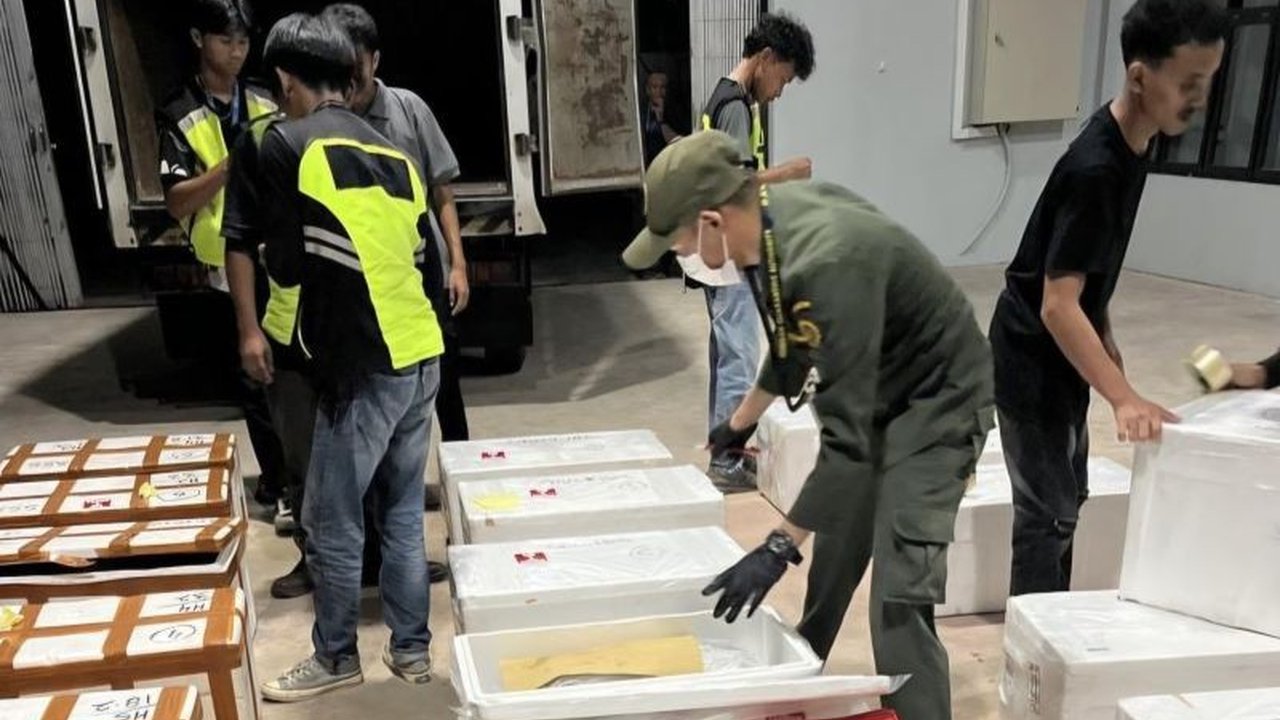Pelaku usaha menyambut baik ekspor kepiting Tarakan langsung ke Hong Kong, membuka peluang efisiensi biaya, kecepatan pengiriman, dan peningkatan ekonomi Kalimantan Utara.