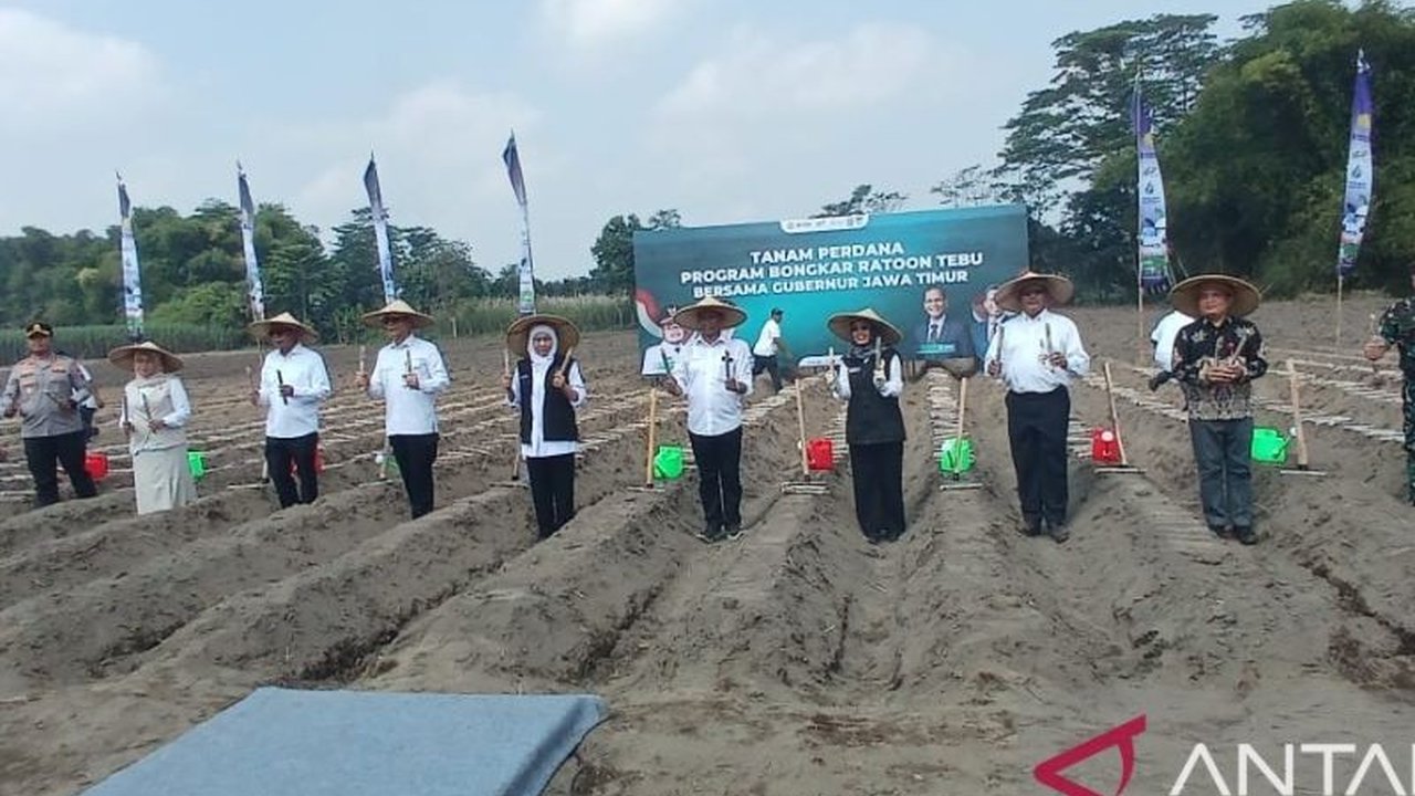 Gubernur Khofifah menegaskan komitmen Jawa Timur sebagai garda terdepan penguatan industri gula nasional, menargetkan Swasembada Gula Nasional melalui program bongkar ratoon.