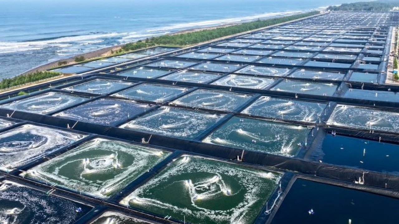 Proyek Budi Daya Udang Berbasis Kawasan (BUBK) Kebumen menjadi model industrialisasi perikanan nasional yang revolusioner, menandai arah baru kemandirian pangan Indonesia.
