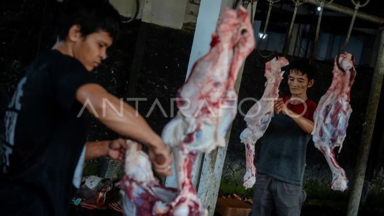 Unit Pelaksana Teknis RPH Bayur Kota Tangerang telah menetapkan Tarif Potong Hewan Kurban sebesar Rp60 ribu per ekor, tanpa kenaikan dari tahun sebelumnya, dengan fasilitas modern dan pembayaran QRIS.
