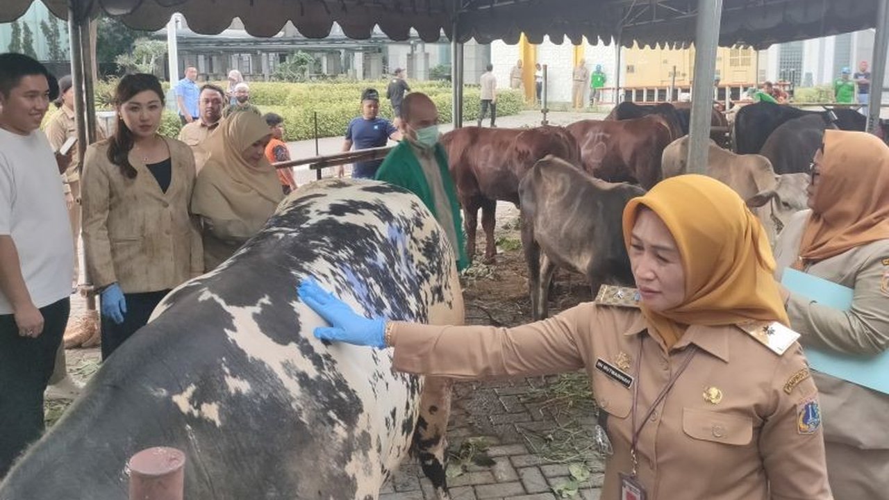 Pemerintah Kota Jakarta Barat siap mendistribusikan 55 hewan kurban untuk Idul Adha, dengan memastikan seluruh hewan telah melalui pemeriksaan kesehatan ketat oleh Sudin KPKP Jakarta Barat.