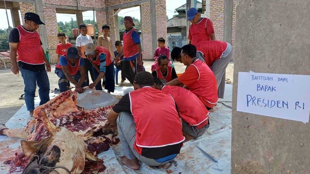 Bantuan daging kurban Presiden Prabowo Subianto telah didistribusikan kepada 450 Kepala Keluarga di Tanjungpinang, membawa berkah Idul Adha bagi warga yang membutuhkan.