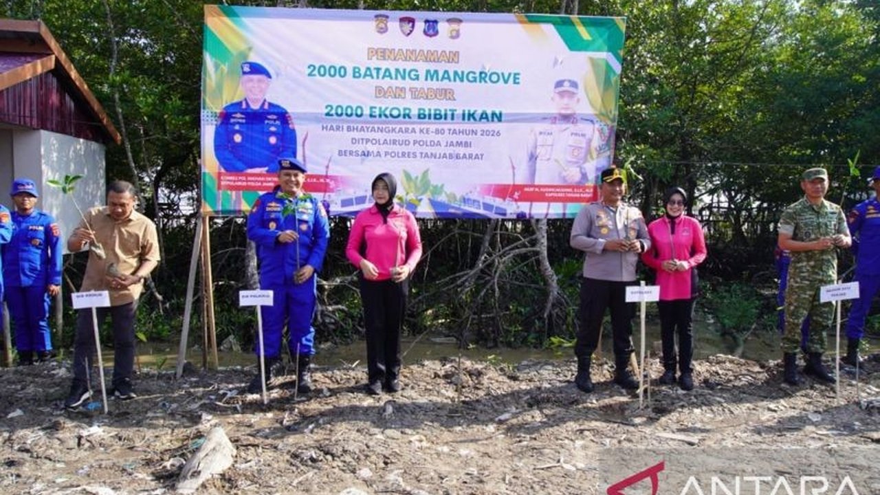 Dalam rangka menyambut HUT ke-80 Bhayangkara, Polda Jambi menunjukkan komitmennya dalam pelestarian lingkungan dengan program penanaman mangrove dan penebaran bibit ikan di pesisir Jambi.