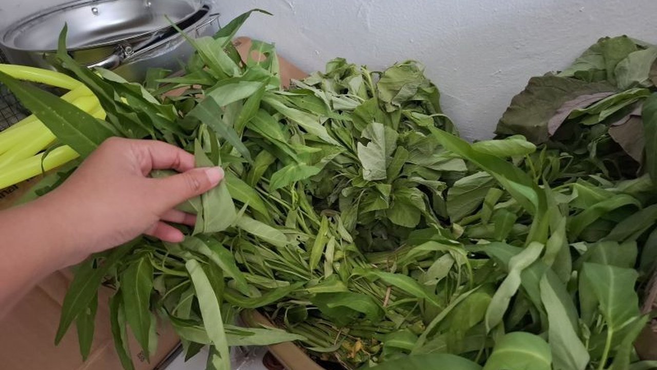 Pemerintah Provinsi Lampung gencar memperluas Gerakan Selamatkan Pangan untuk mengatasi food loss dan food waste, dimulai dari pasca panen hingga edukasi konsumsi di masyarakat.