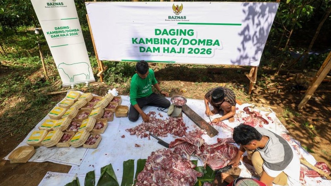 Badan Amil Zakat Nasional (Baznas) RI menyalurkan 1.240 ekor kambing dam jamaah haji 2026, memberdayakan peternak lokal sekaligus memenuhi gizi mustahik di berbagai provinsi.