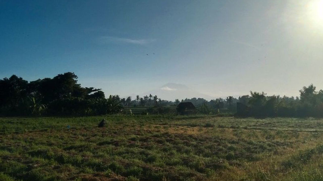Fenomena suhu dingin di Bali pada malam hingga pagi hari mulai terasa, dipengaruhi massa udara dari Australia dan faktor astronomis, membuat warga penasaran.