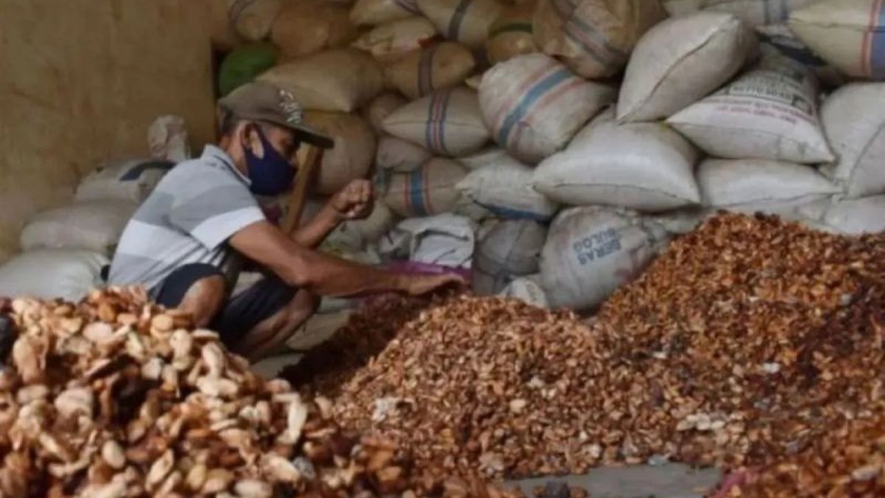 Kementerian Perdagangan (Kemendag) mencatat kenaikan signifikan pada harga biji kakao untuk periode Juni 2026, dipicu oleh penutupan Selat Hormuz dan penurunan suplai global. Penasaran bagaimana dampak lebih lanjutnya?