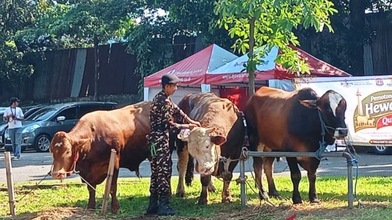 Program Banpres Sapi Presiden Prabowo Subianto menjelang Idul Adha 1447 H menuai beragam kritik, namun program ini memiliki legalitas, dampak ekonomi, dan manfaat gizi yang signifikan bagi masyarakat.