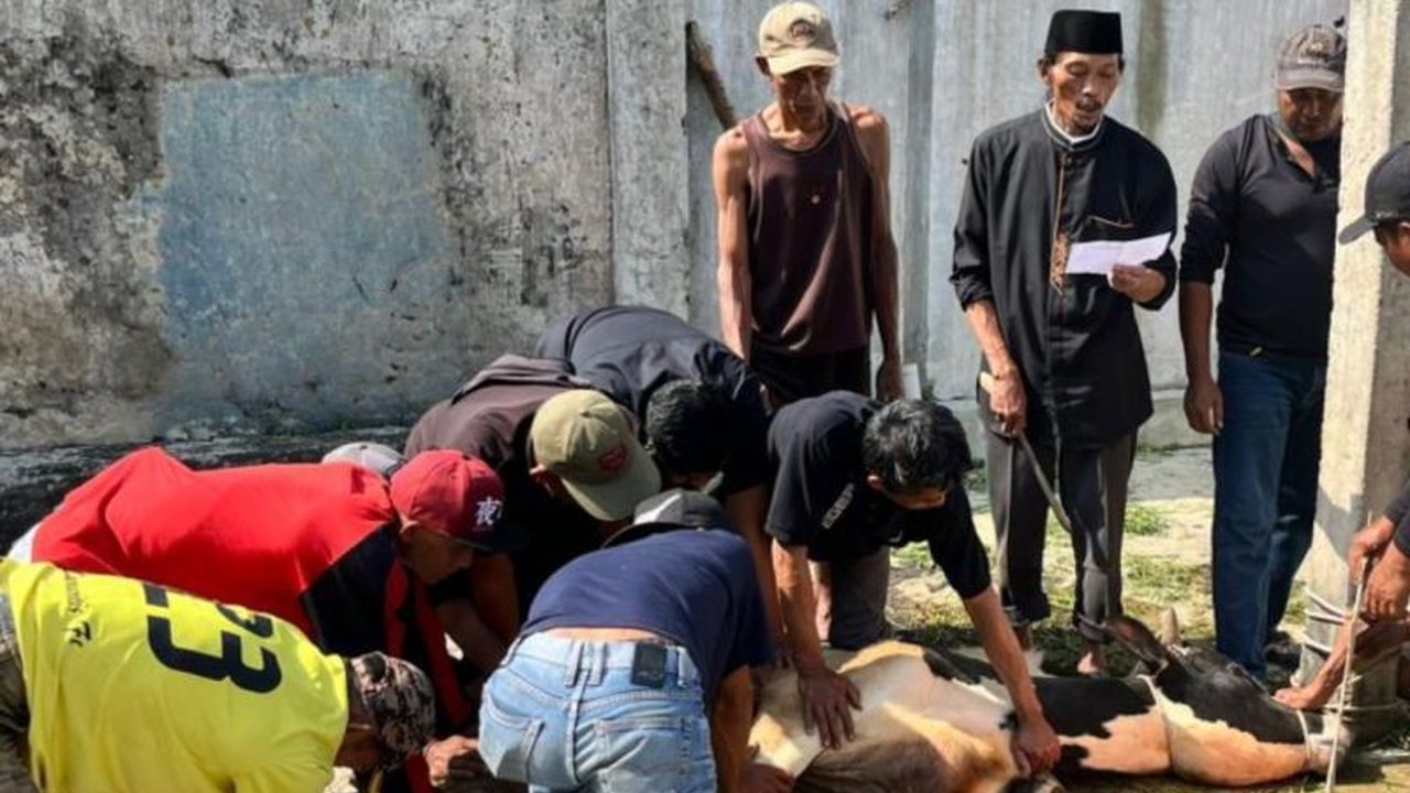 Anggota DPRD Jabar Tina Wiryawati mengapresiasi kelancaran pelaksanaan kurban di Kuningan selama Idul Adha 1447 H, menyoroti pentingnya semangat berbagi dan pemerataan distribusi daging kurban.