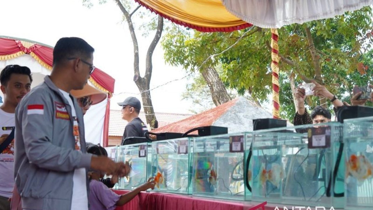 Kontes Ikan Hias Banjarmasin Wali Kota Cup 2026 sukses digelar di Taman Satwa dan Edukasi Jahri Saleh, menarik ratusan peserta serta diharapkan mampu menggerakkan ekonomi lokal dan mempererat komunitas pecinta ikan hias.