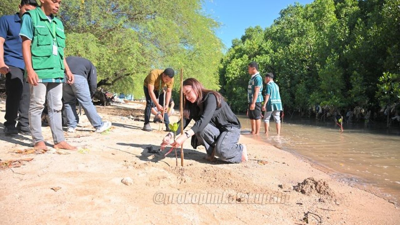 Pemerintah Kota Kupang bersama generasi muda berkolaborasi aktif dalam upaya pelestarian mangrove di pesisir Oesapa Barat. Inisiatif ini mendorong kesadaran lingkungan dan literasi keuangan.