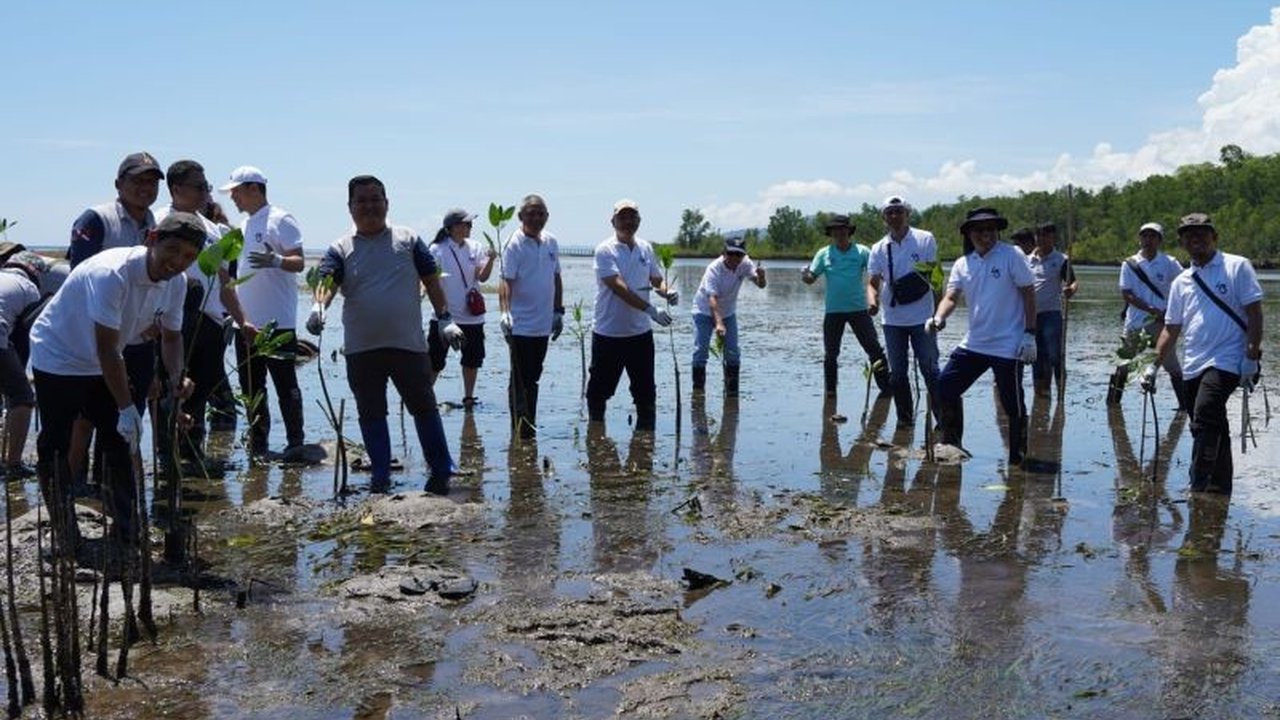 Kolaborasi antara BPKP Perwakilan Provinsi Sulawesi Utara dan DLHD Provinsi Sulawesi Utara melalui kegiatan penanaman mangrove menjadi langkah strategis menjaga keseimbangan ekosistem pesisir serta mitigasi perubahan iklim.