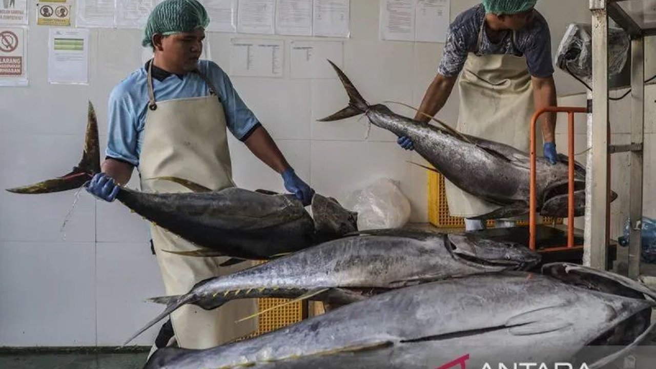 Kementerian Kelautan dan Perikanan (KKP) berhasil memperluas pintu ekspor perikanan Indonesia ke China, dengan lebih dari 600 Unit Pengolahan Ikan (UPI) kini mengantongi izin resmi.