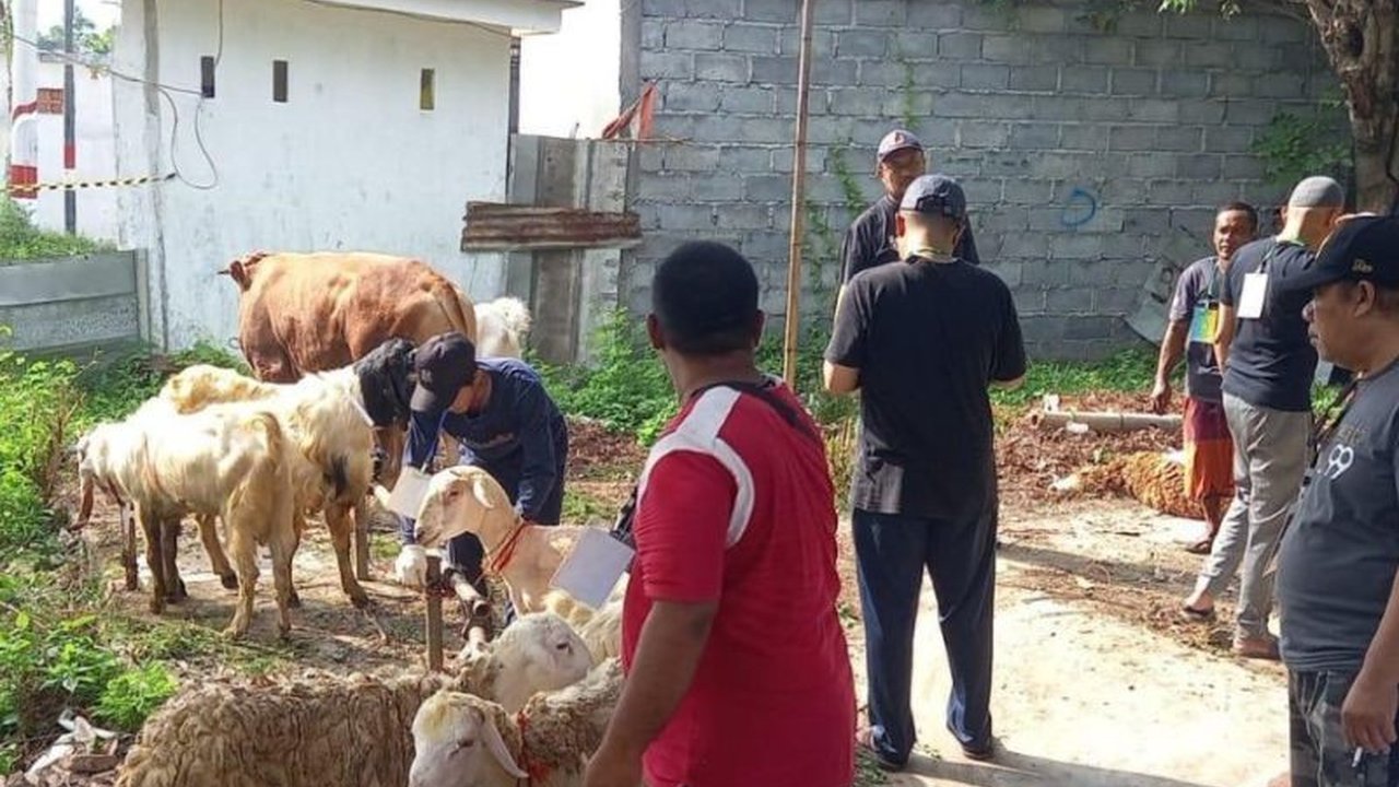 Momen Idul Adha 1447 Hijriah di Kabupaten Probolinggo berhasil menggerakkan **perputaran ekonomi Idul Adha Probolinggo** hingga Rp25,3 miliar, menunjukkan dampak signifikan terhadap perekonomian lokal.