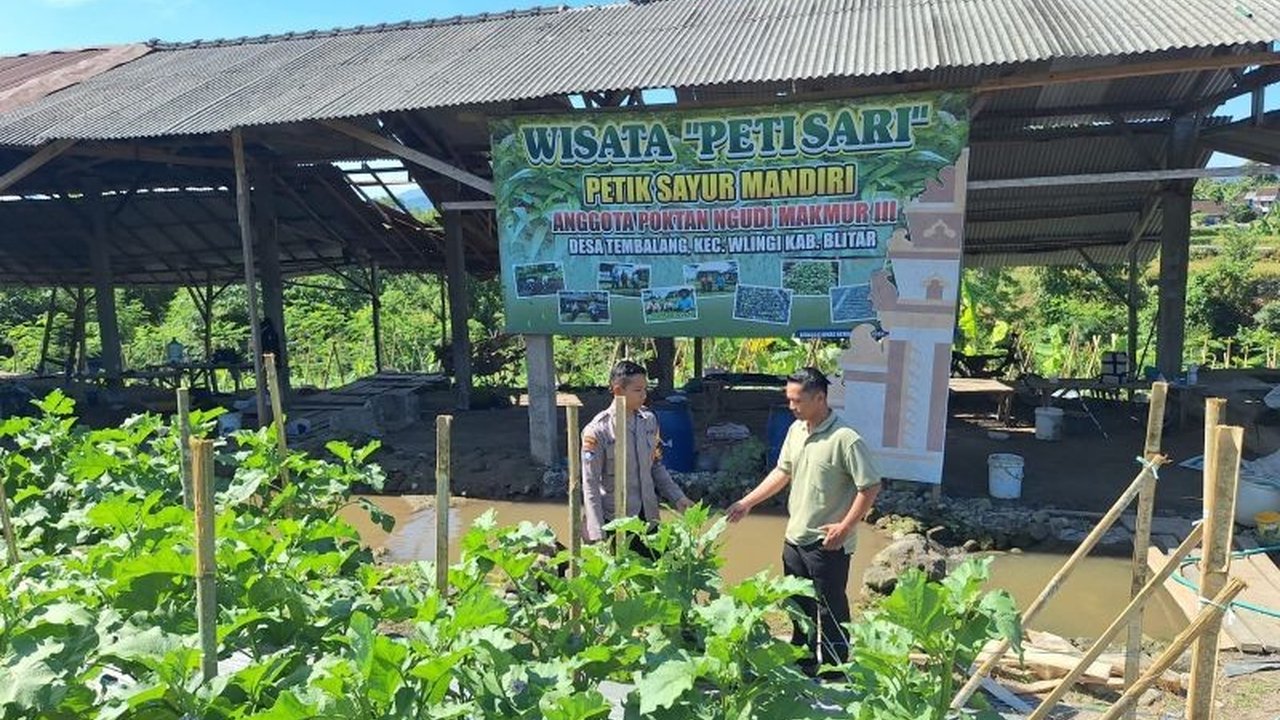 Polres Blitar aktif memberikan pendampingan petani di wilayahnya untuk mengoptimalkan lahan produktif, wujudkan swasembada pangan keluarga dan perkuat ketahanan pangan daerah.