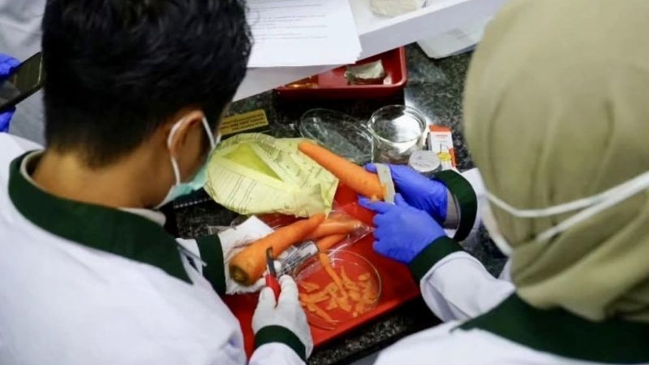 Balai Karantina Hewan, Ikan, dan Tumbuhan Provinsi Kalimantan Selatan bersama BBPOM memperkuat pengawasan Keamanan Sumber Daya Hayati Kalsel dengan meningkatkan kompetensi petugas, memastikan perlindungan komoditas pertanian.