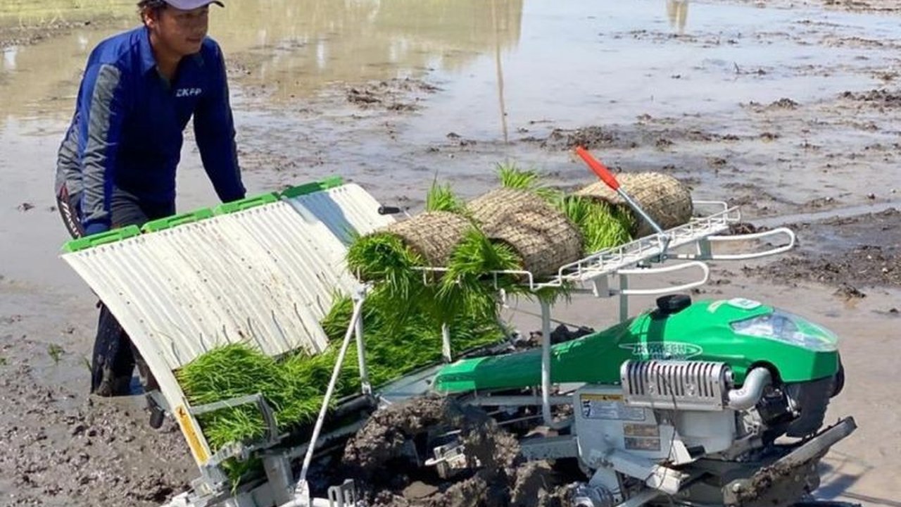 Dinas Ketahanan Pangan dan Pertanian (DKPP) Kota Madiun mengambil langkah strategis mendorong percepatan tanam antisipasi puncak kemarau, guna melindungi petani dari risiko gagal panen dan menjaga ketahanan pangan daerah.