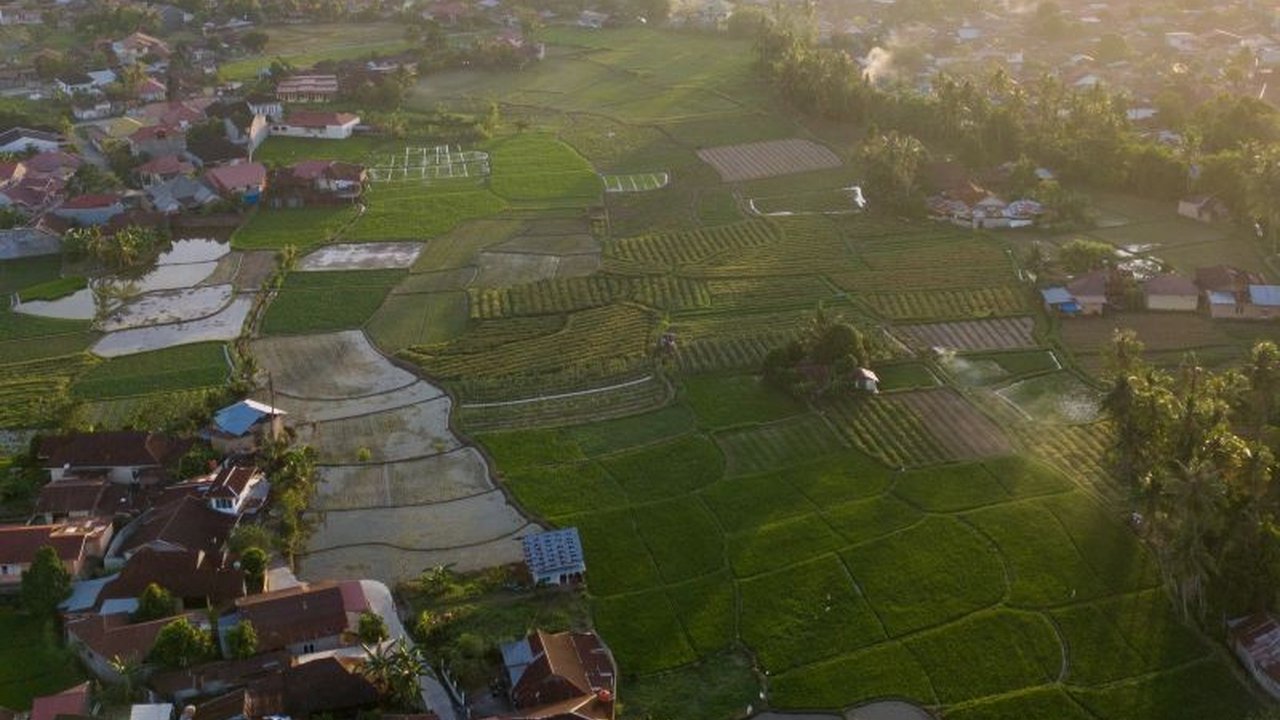 Wakil Wali Kota Padang Maigus Nasir menegaskan pentingnya menjaga keseimbangan lahan pertanian dengan kebutuhan investasi di Padang, demi pembangunan daerah yang berkelanjutan.