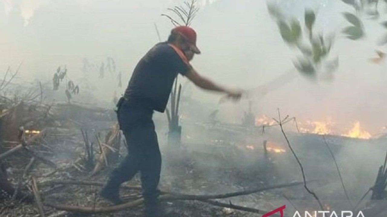 Dinas Lingkungan Hidup dan Kehutanan (DLHK) Provinsi Kepulauan Bangka Belitung mengoptimalkan personel Kesatuan Pengelolaan Hutan Produksi (KPHP) guna Pencegahan Karhutla Babel di tengah musim kemarau ekstrem akibat El Nino.