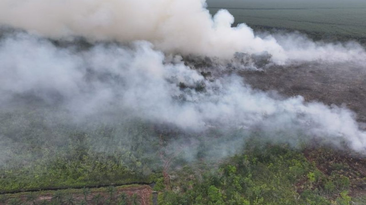 Tim Manggala Agni Kemenhut berjibaku padamkan Karhutla Riau di Bengkalis dan Rokan Hilir yang terkendala medan dan air, sementara satu lokasi di Pelalawan berhasil dikendalikan.