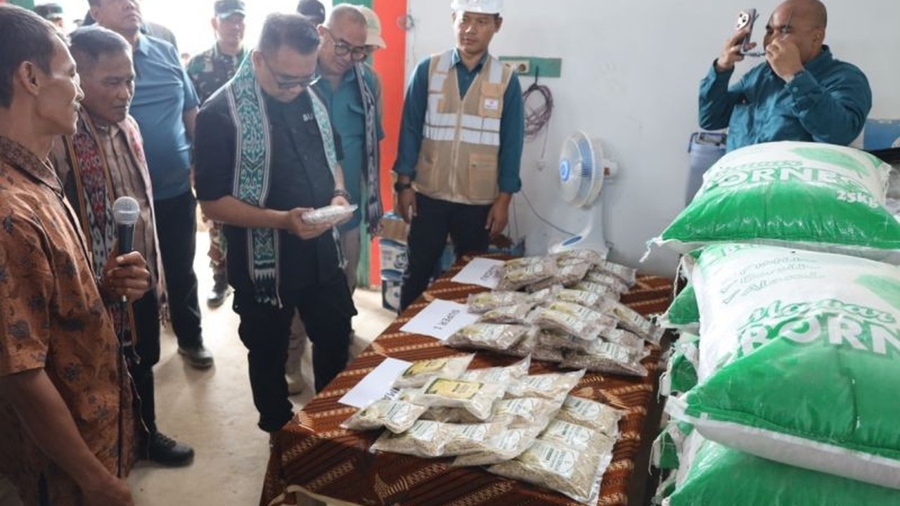 Kabupaten Kutai Kartanegara serius menggarap diversifikasi pangan sorgum, bekerja sama dengan swasta untuk memperkuat ketahanan pangan lokal dan membuka peluang ekonomi baru bagi masyarakat desa.