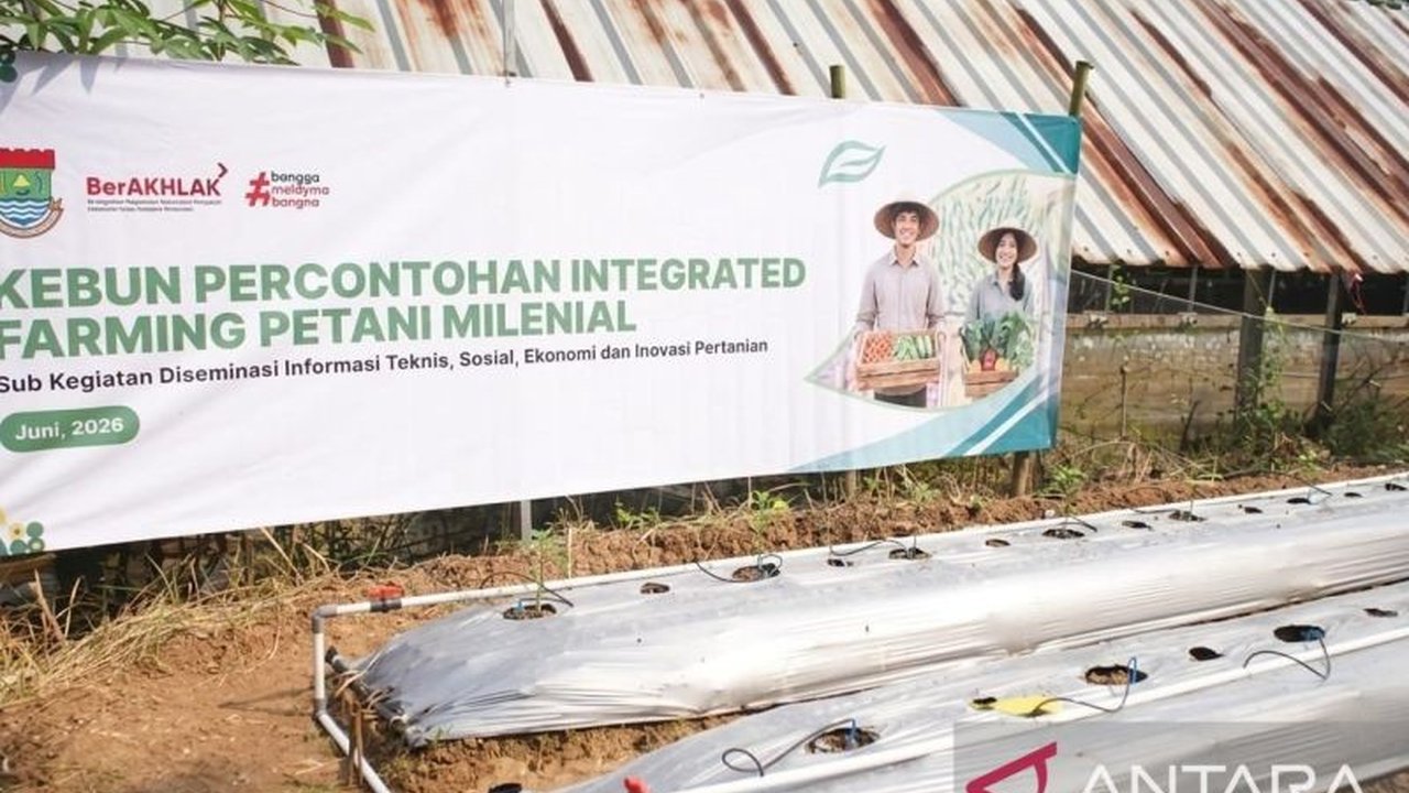 Pemerintah Kabupaten Tangerang serius menggarap potensi pertanian melalui sistem pertanian terpadu. Inisiatif ini diharapkan dapat memperkuat ketahanan pangan dan menarik minat petani milenial di Tangerang.