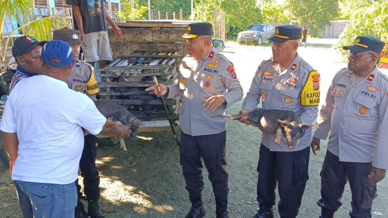 Polda Papua Tengah berkomitmen meningkatkan kesejahteraan peternak di Nabire dengan menyalurkan bibit babi, sebuah langkah konkret untuk mendorong ekonomi keluarga dan kamtibmas.