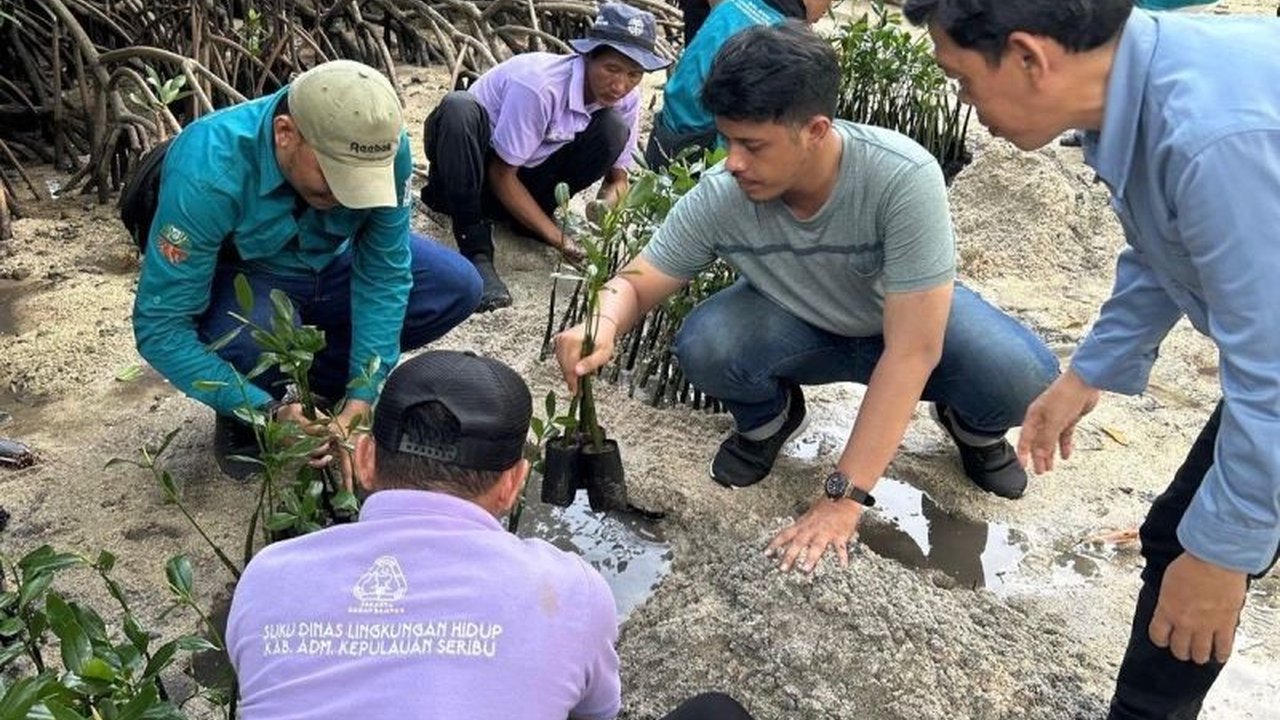 Pemerintah Kabupaten Kepulauan Seribu menggelar aksi konservasi lingkungan dengan menanam mangrove dan melepas tukik di Pulau Sabira, sebagai bagian dari peringatan Hari Lingkungan Hidup dan komitmen menjaga ekosistem bahari.