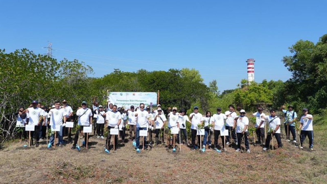 PLN Indonesia Power memperingati Hari Lingkungan Hidup Sedunia 2026 dengan menanam ribuan pohon di berbagai wilayah operasionalnya. Aksi ini menegaskan komitmen PLN Indonesia Power dalam pelestarian lingkungan dan keberlanjutan.