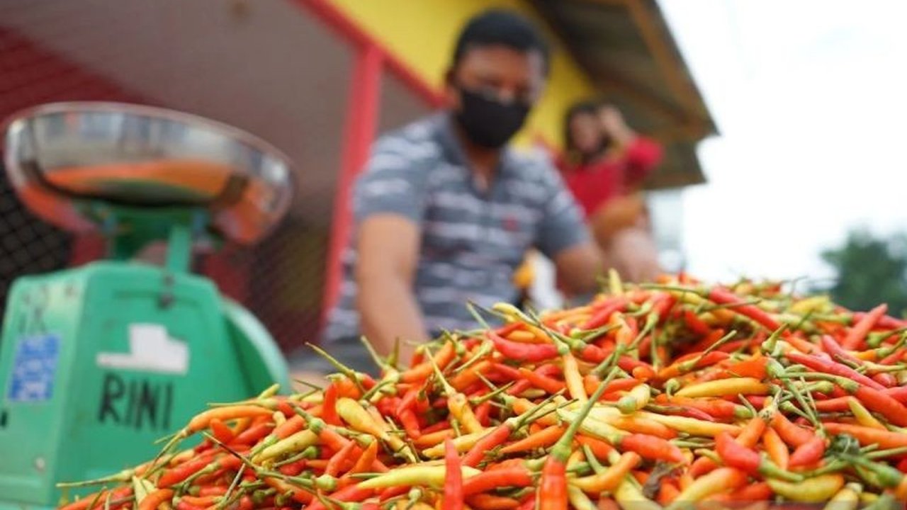 Pusat Informasi Harga Pangan Strategis Nasional (PIHPS) merilis data terbaru harga pangan strategis. Cabai rawit merah mencapai Rp74.550/kg dan telur ayam Rp30.100/kg. Simak fluktuasi komoditas lainnya.