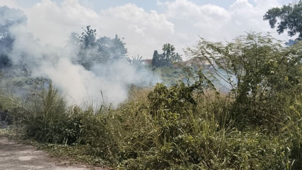 Tim Satgas BPBD Kabupaten Ogan Komering Ulu (OKU) sukses memadamkan Karhutla OKU di Desa Air Paoh, Baturaja Timur, Sabtu (13/6). Insiden ini diduga akibat puntung rokok, sehingga masyarakat diimbau untuk lebih berhati-hati.