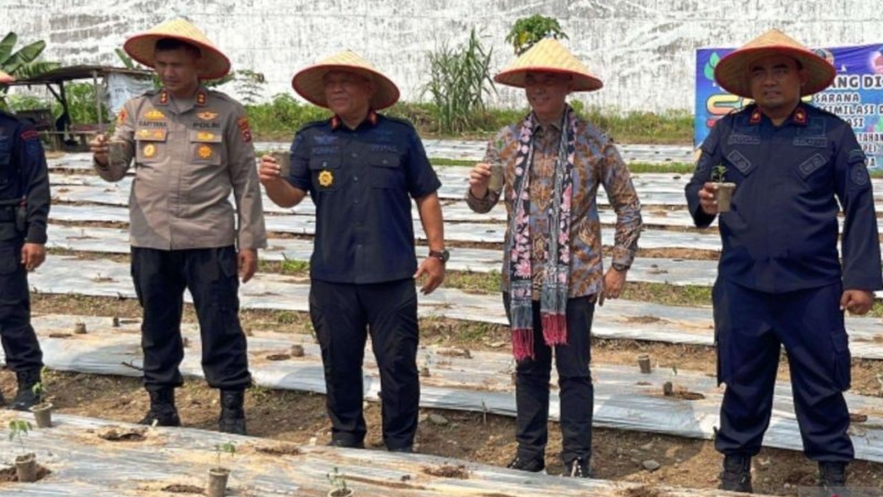 Lapas Dharmasraya meluncurkan program inovatif budidaya lele dan pertanian untuk warga binaan. Inisiatif ini tidak hanya meningkatkan ketahanan pangan, tetapi juga membekali keterampilan berharga. Bagaimana program Budidaya Lele Lapas Dharmasraya ini akan