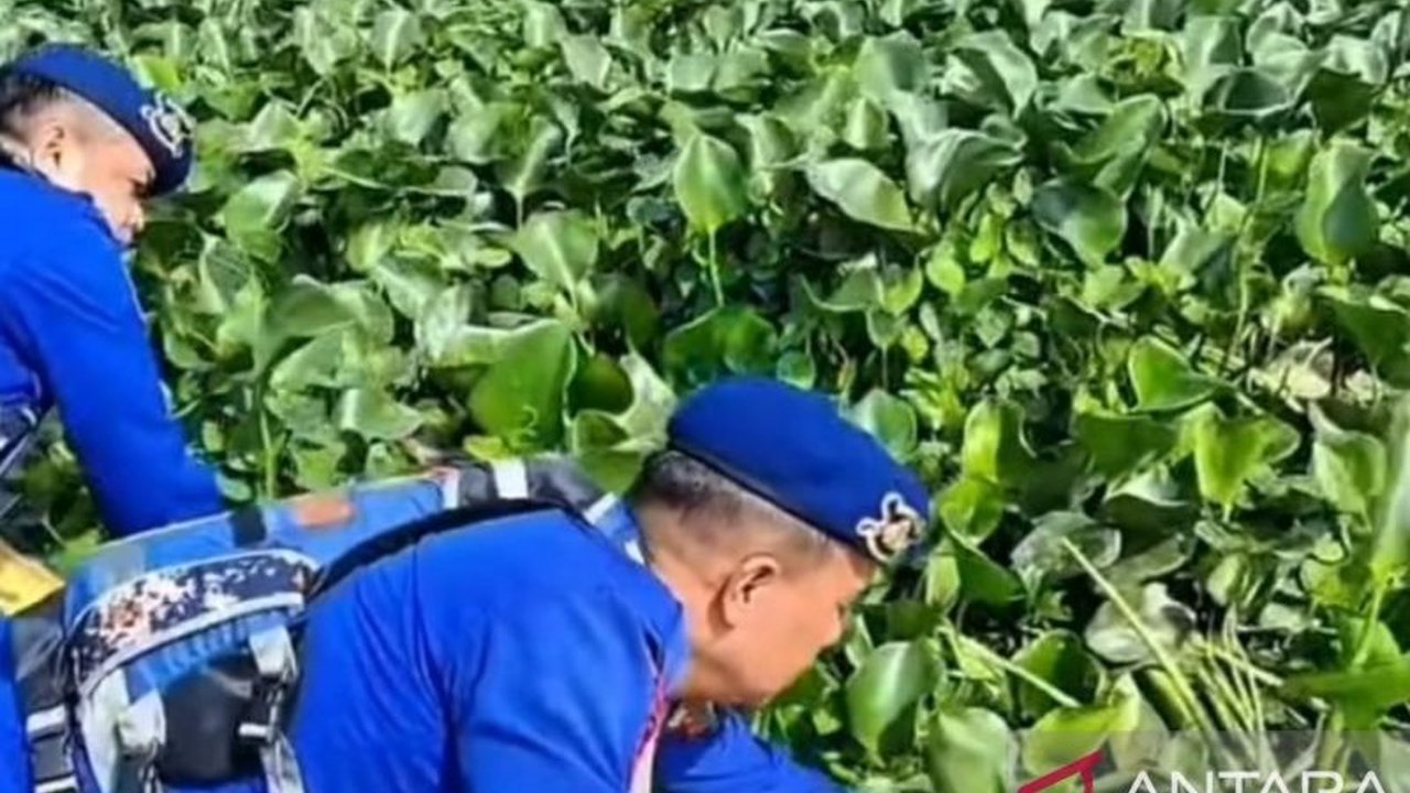 Polrestabes Palembang meluncurkan program inovatif Pakan Ikan Presisi di Palembang, mengubah gulma eceng gondok menjadi pakan ikan bernilai ekonomis, sekaligus menjaga kelestarian lingkungan dan memberdayakan masyarakat.