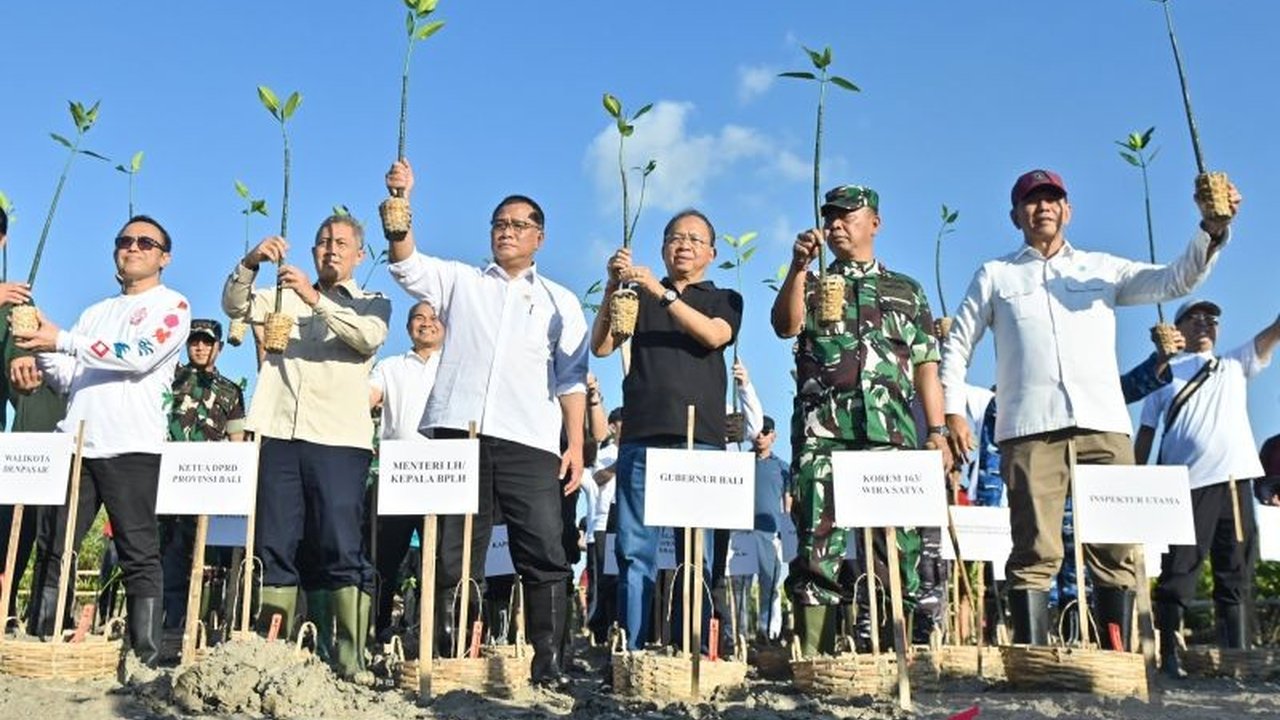 Indonesia berkomitmen memulihkan 700.000 hektar mangrove yang rusak, bagian dari upaya besar Restorasi Mangrove Indonesia untuk mitigasi perubahan iklim global dan penggerak ekonomi masyarakat pesisir.