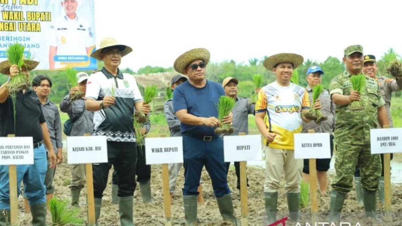Kabupaten Hulu Sungai Utara (HSU) berhasil memperluas lahan tanam padi seluas 1.362 hektare dari Januari hingga Mei 2026, sebuah langkah signifikan untuk mendukung program ketahanan pangan nasional.