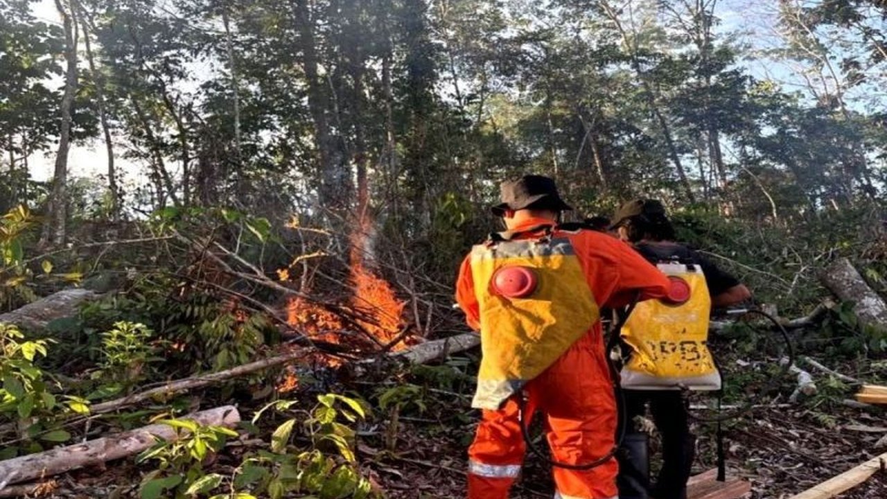BPBD Barito Utara berhasil memadamkan kebakaran hutan dan lahan (karhutla) di Desa Trahean, Kecamatan Teweh Selatan. Respons cepat tim gabungan menjadi kunci keberhasilan pemadaman Karhutla Barito Utara ini.