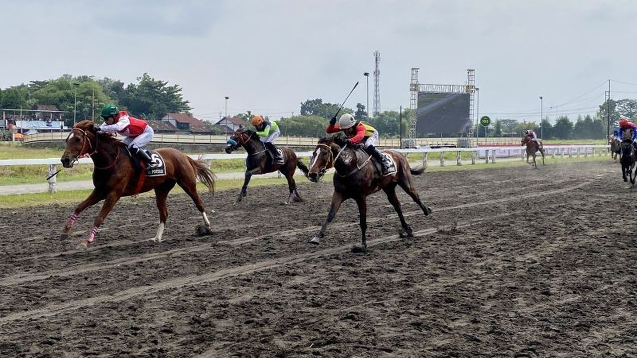 Indonesia's Horse Racing (IHR) Paku Alam Cup 2026 sukses digelar di Yogyakarta, menampilkan kompetisi pacuan kuda kelas lokal DIY yang bertujuan membangkitkan kembali gairah masyarakat terhadap olahraga berkuda.