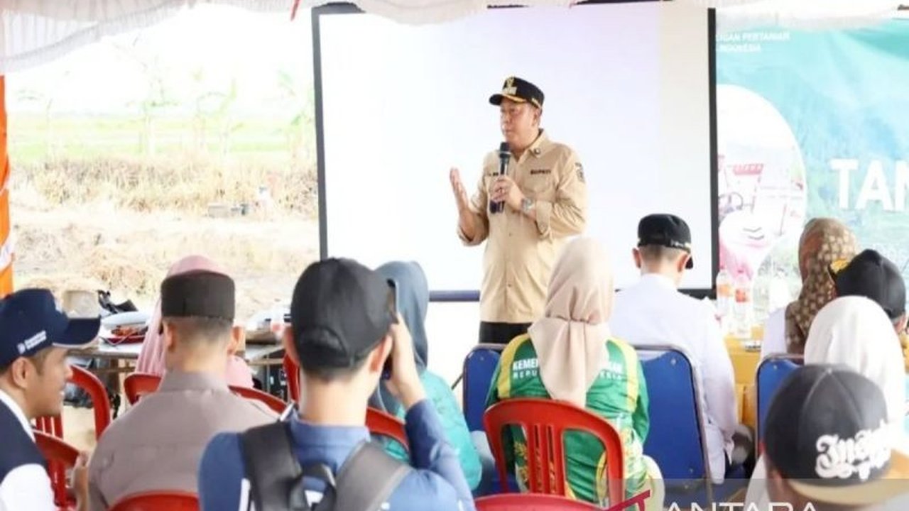 Kabupaten Barito Kuala berhasil memenuhi target 87 persen lahan pertanian pangan berkelanjutan (LP2B), sebuah langkah krusial untuk menjaga ketahanan pangan dan stabilitas ekonomi daerah.